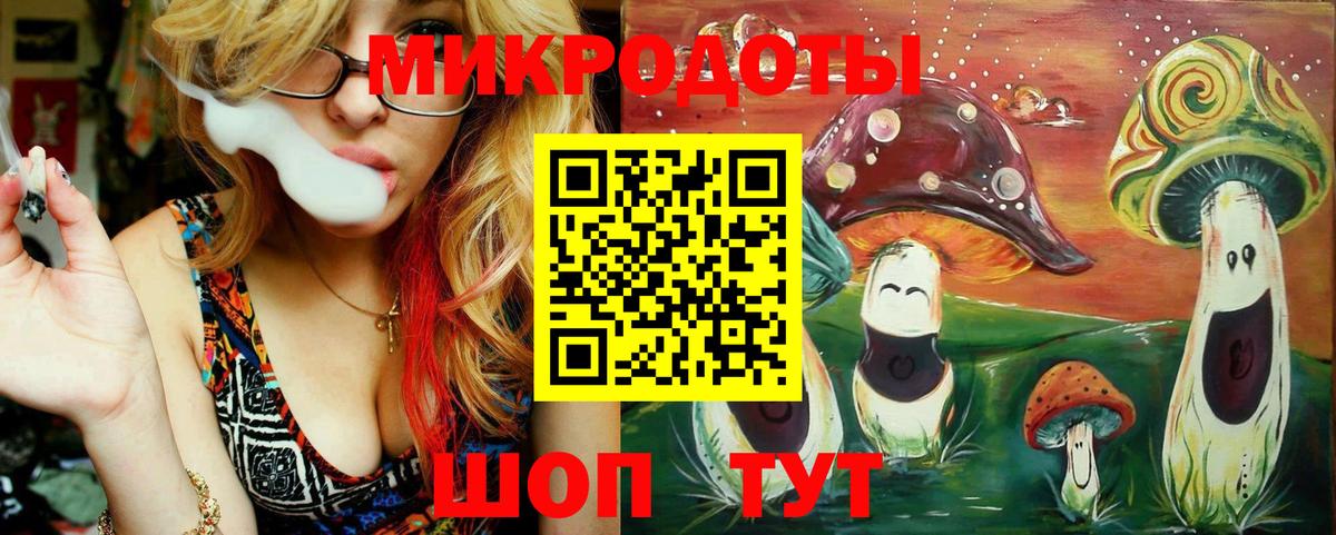 Галлюциногенные грибы Psilocybine cubensis  Тобольск 