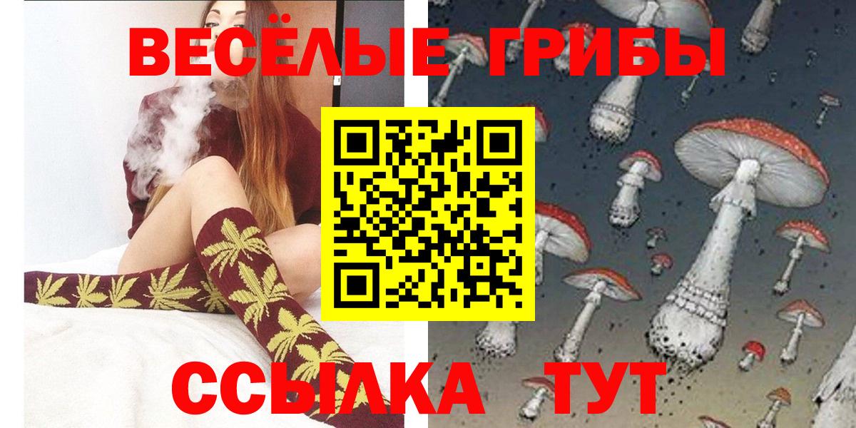 Галлюциногенные грибы GOLDEN TEACHER Тобольск