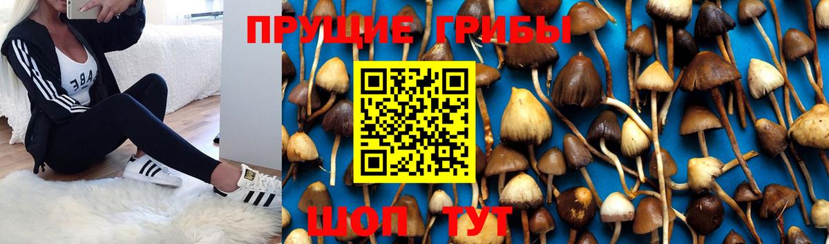 Галлюциногенные грибы ЛСД  Вход с VPN  Тобольск 
